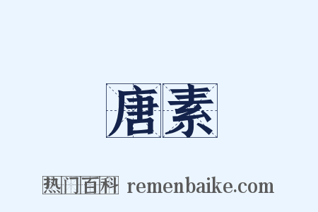 唐素是什么意思的图片